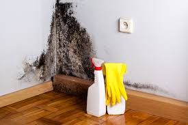 Best Mold Odor Removal Services  in Center Point, NM